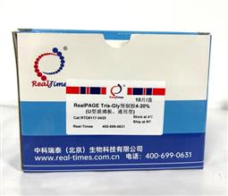 15%RealPAGE Tris-Glycine預制膠（塑料板） 11孔